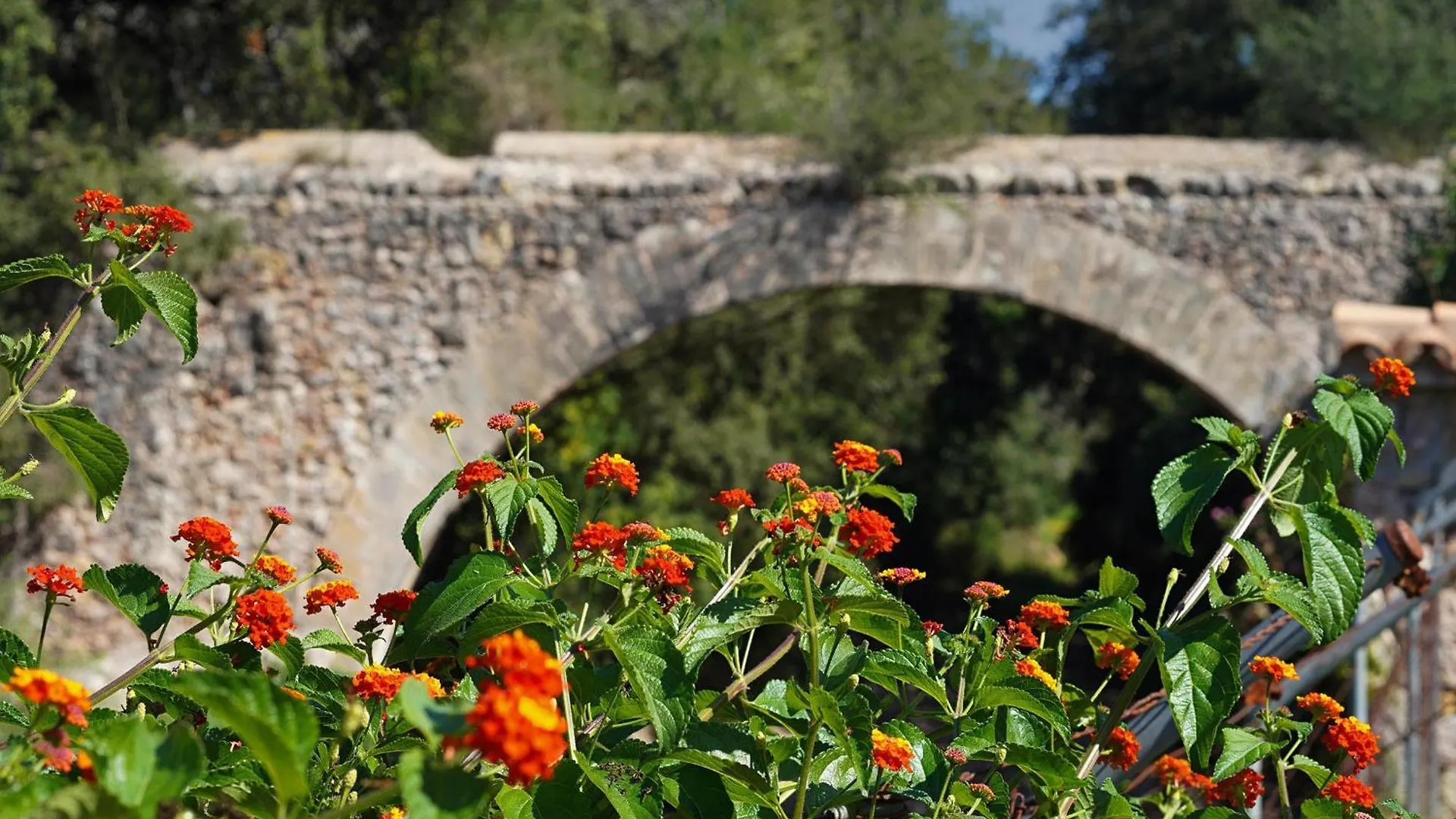 Villa Camp Redo Pollenca